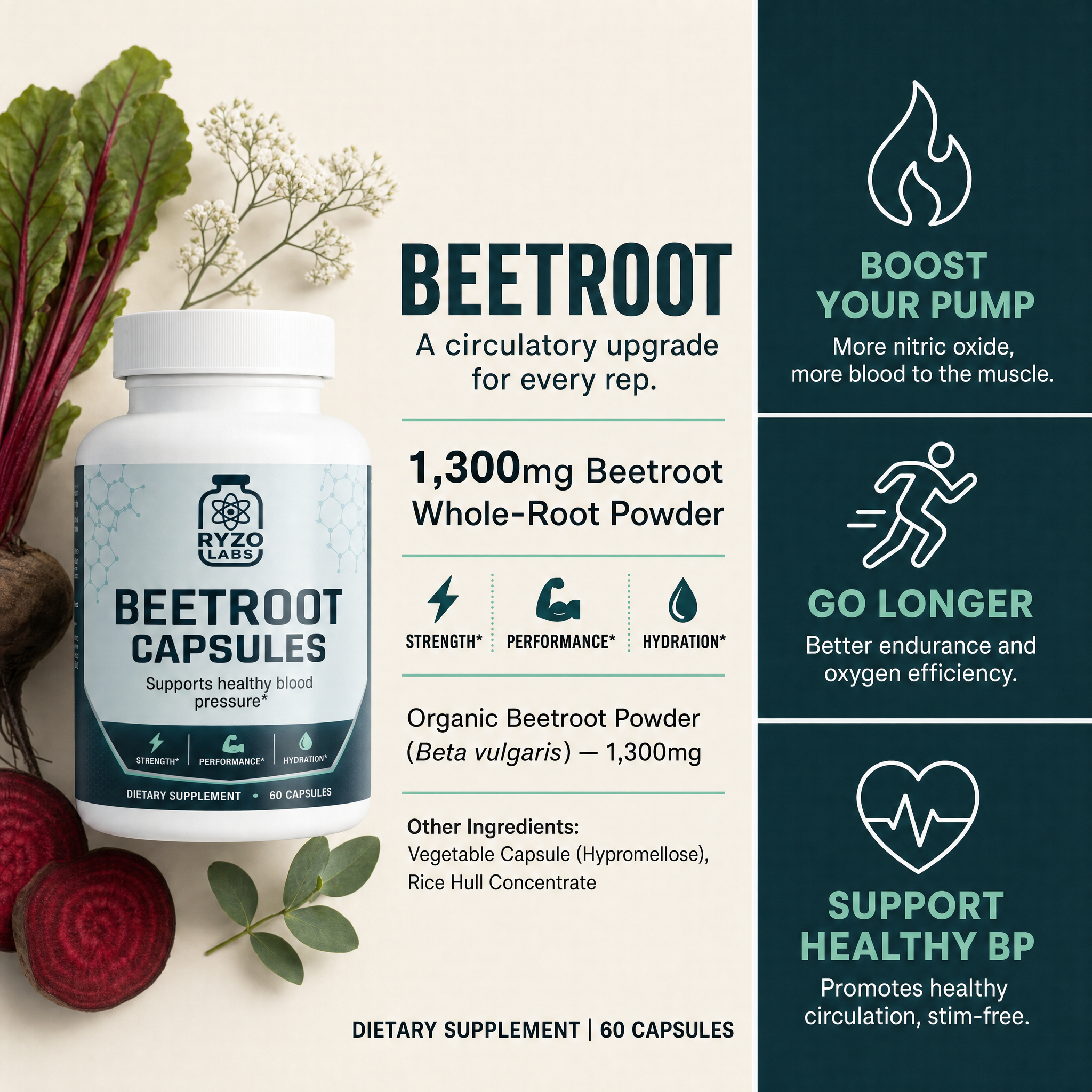 Beetroot (Capsules) ingredients and benefits chart by Ryzo Labs
