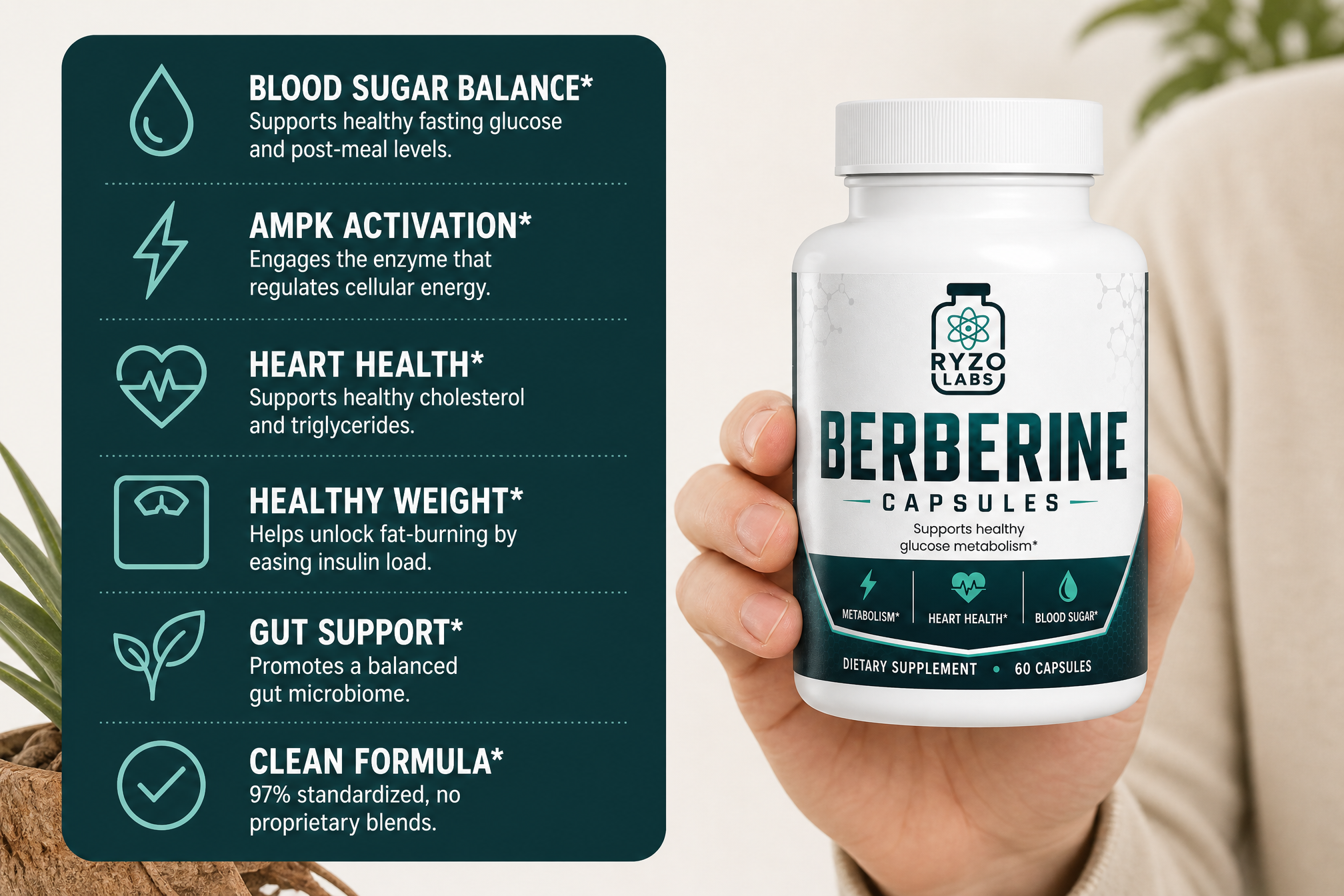 Berberine benefits infographic by Ryzo Labs