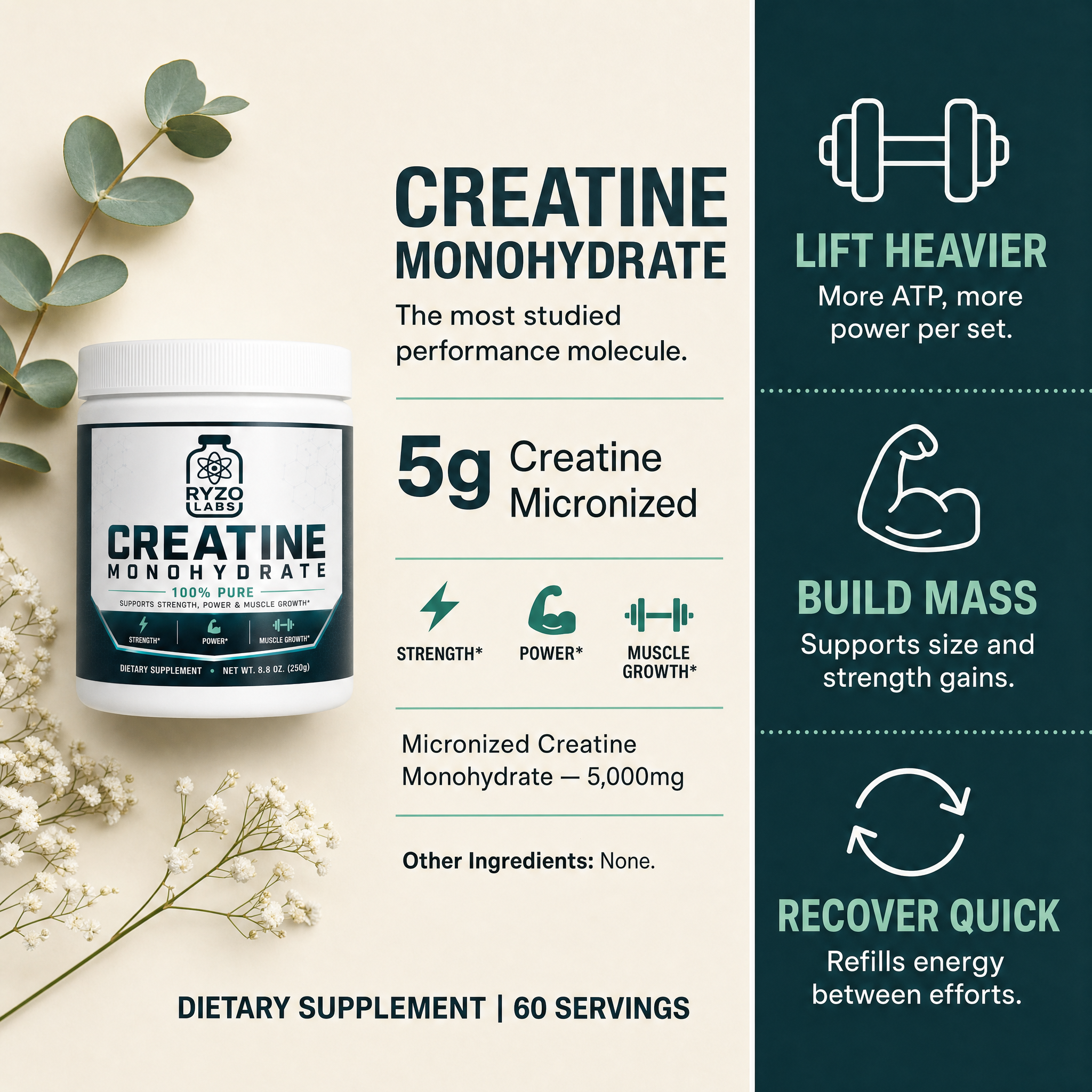 Creatine Monohydrate ingredients and benefits chart by Ryzo Labs