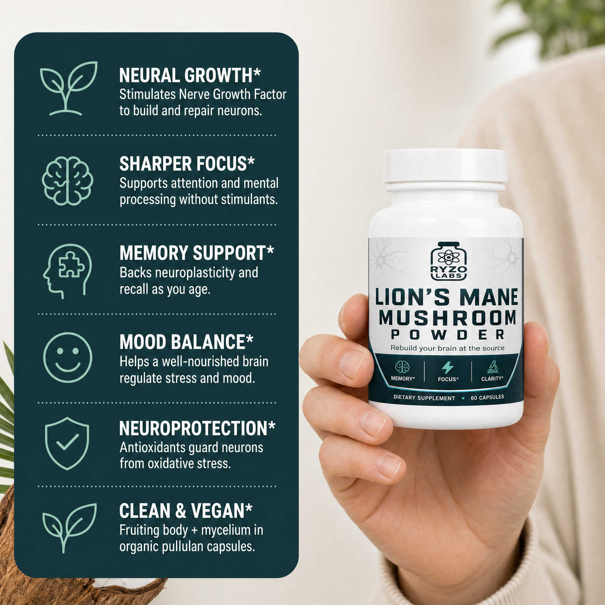 Lion's Mane Mushroom benefits infographic by Ryzo Labs
