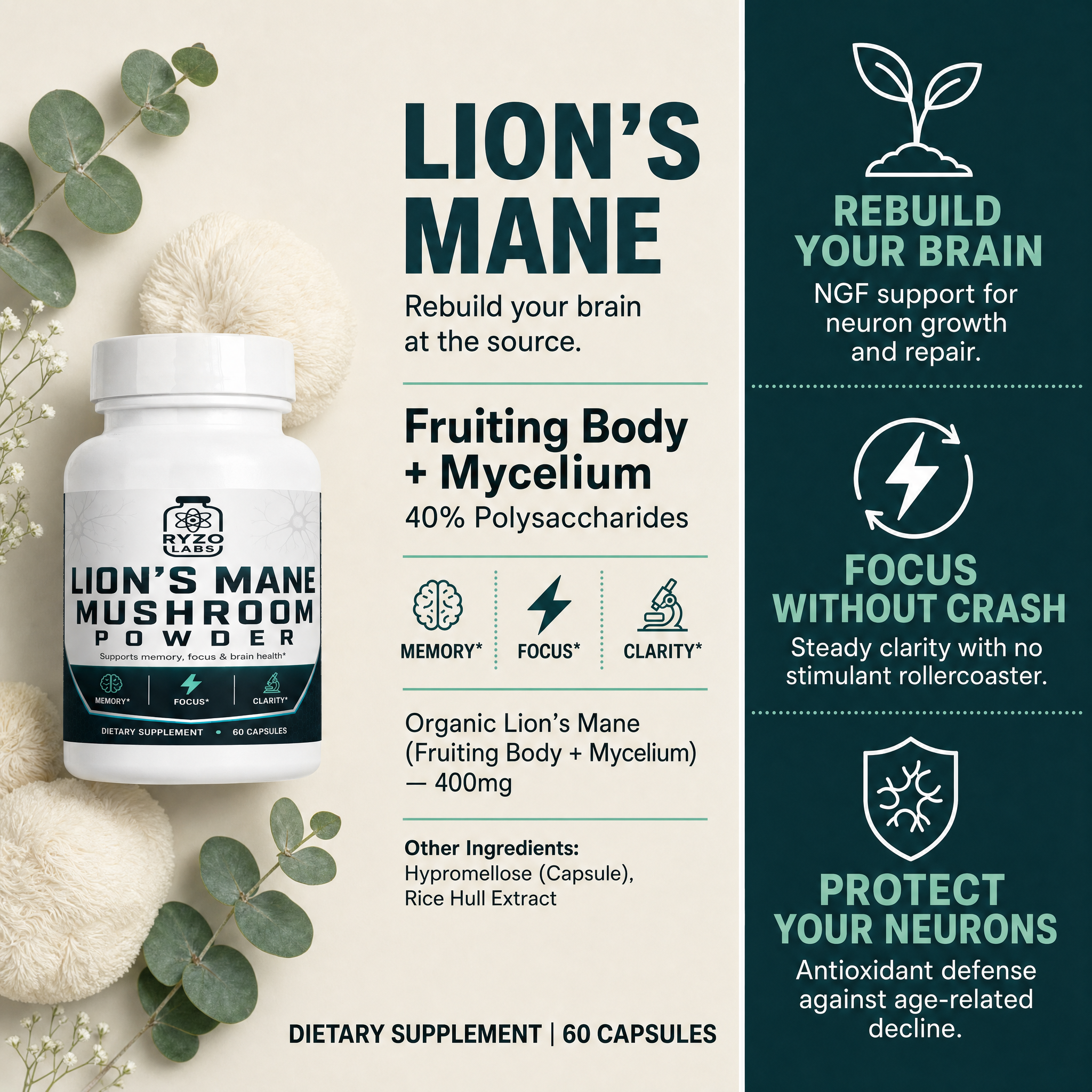 Lion's Mane Mushroom ingredients and benefits chart by Ryzo Labs