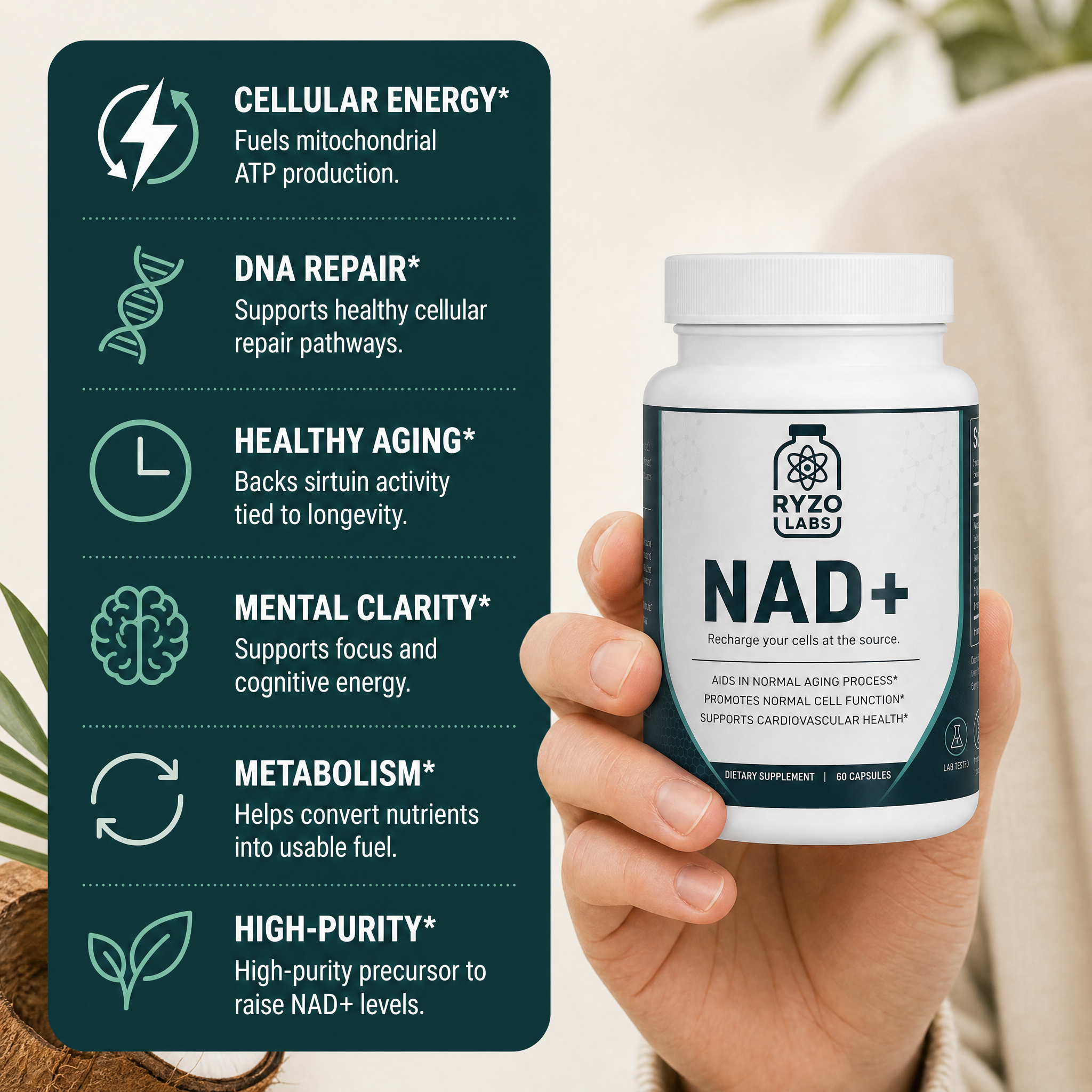 NAD+ benefits infographic by Ryzo Labs